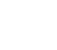 Learnistry Logo